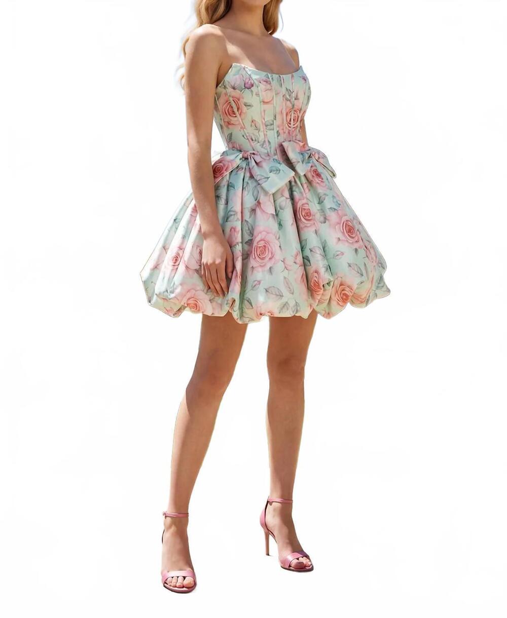 NEW JULIET structured bodice & bow detail dress in mint floral